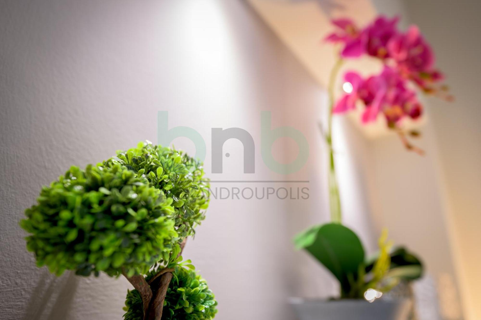 The Floral Suite 亚历山德鲁波利斯 外观 照片